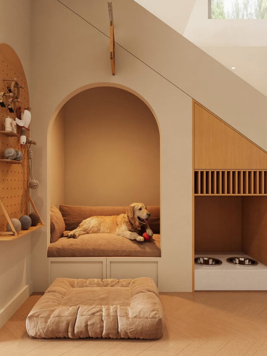 Dog lying on a cushioned raised platform in a modern room with wooden shelves and pet bowls.
