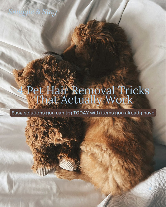 Two dogs lying on a bed with text overlay about pet hair removal tricks.