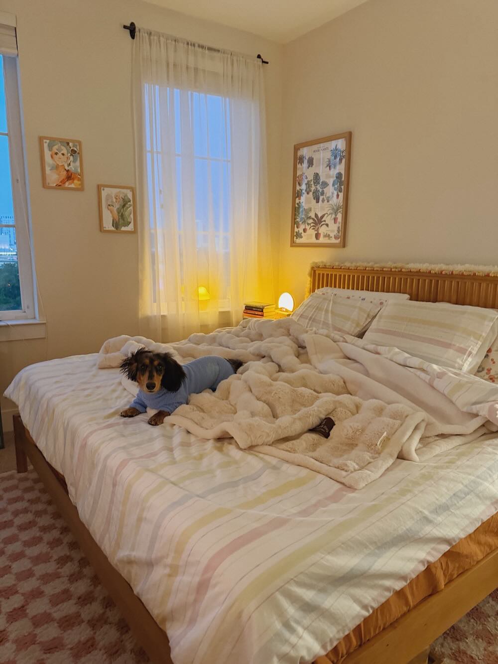 A Pet-Friendly Home Doesn’t Have to Look Like a Pet Home