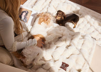 Snuggle & Stay Everywhere Blanket
