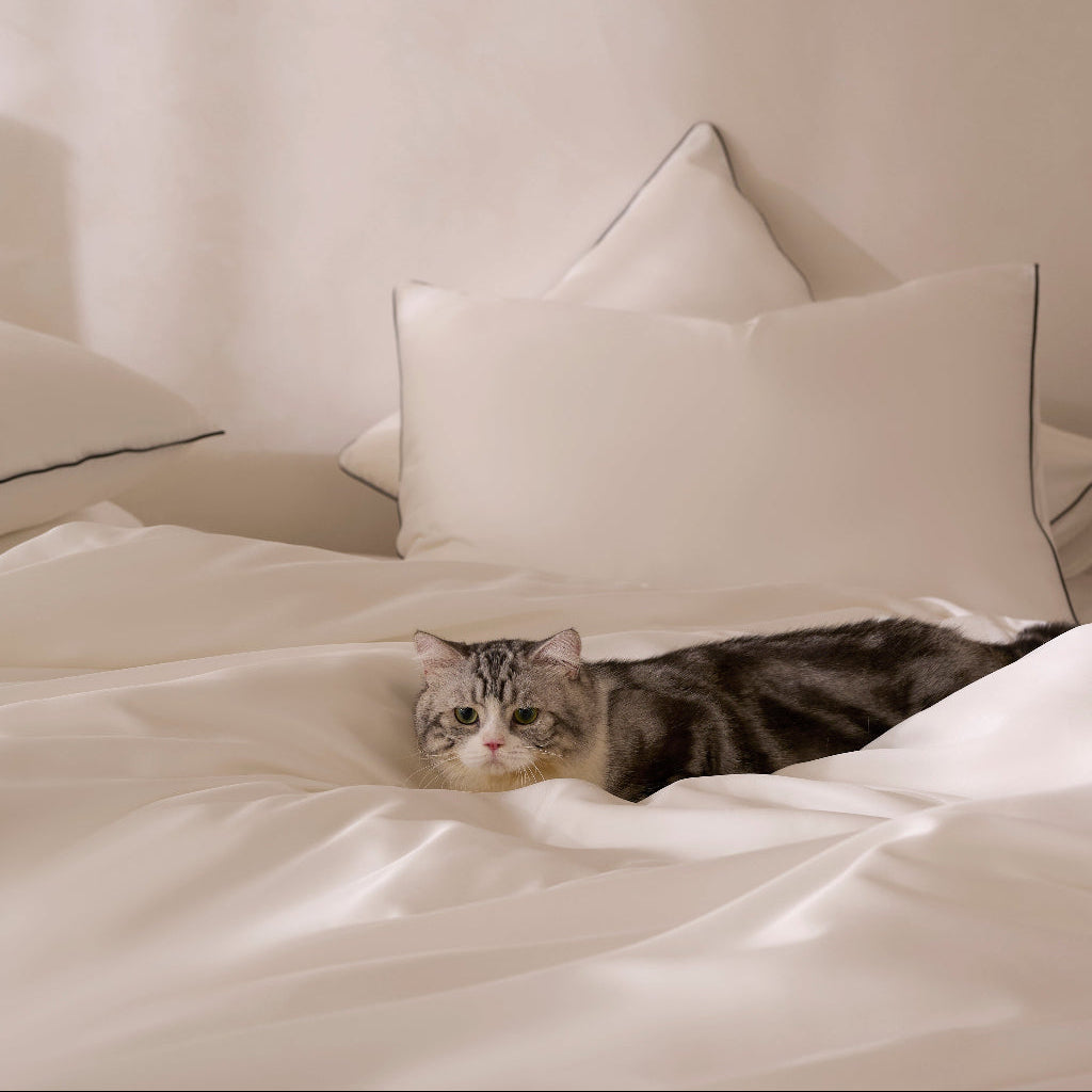 Classic White with Black Piping