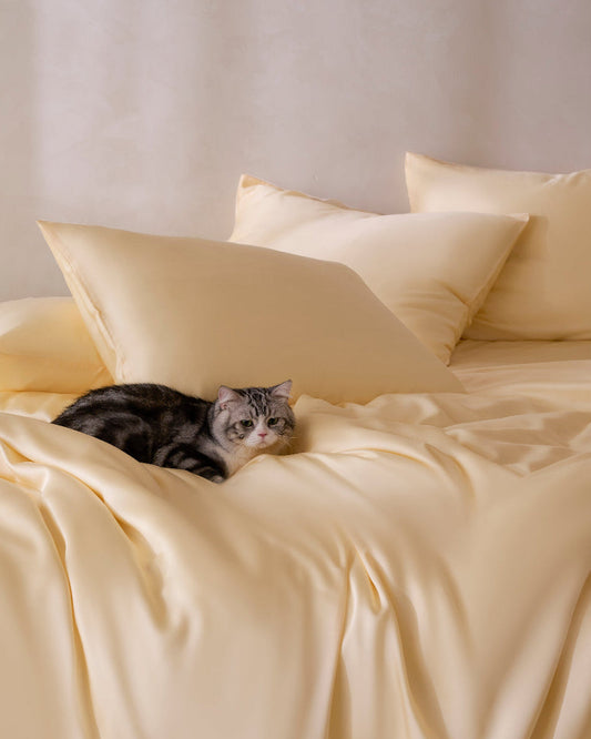 Cat lying on a bed with light yellow bedding and pillows.