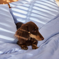 Snuggle & Stay Signature Furless™ Duvet Set