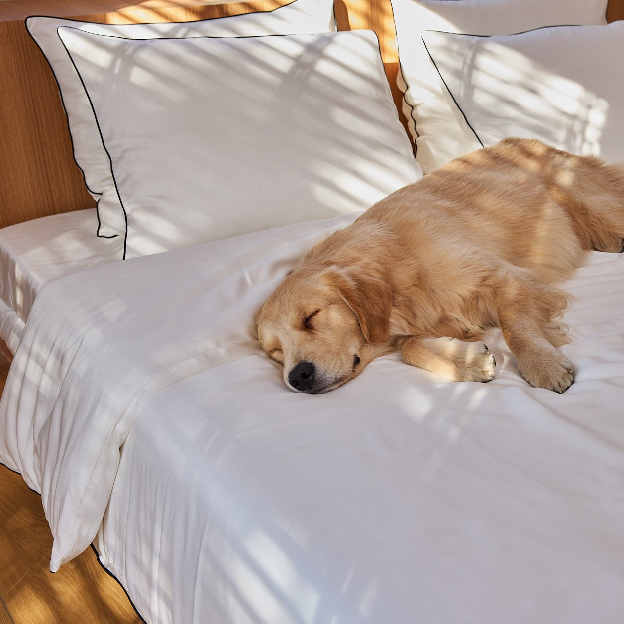 Classic White with Black Piping