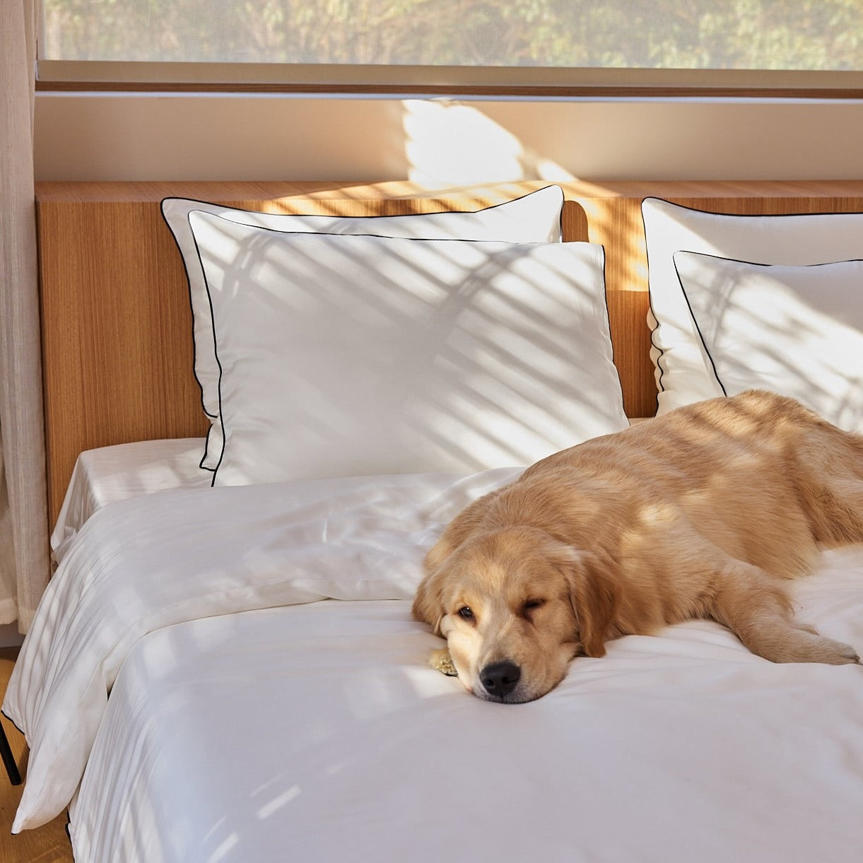 Snuggle & Stay Signature Furless™ Sheet Set